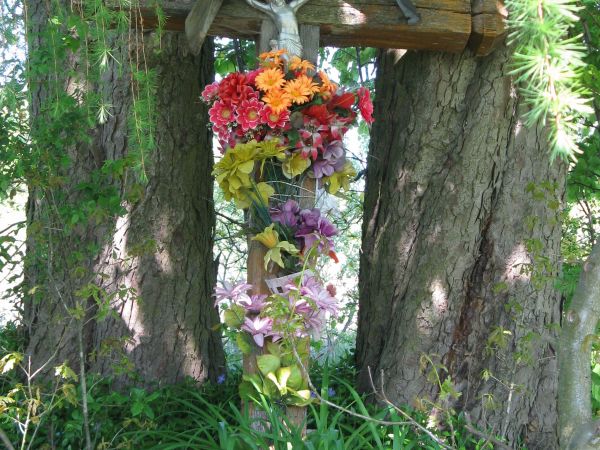 Przy drodze na Dębną, w sąsiedztwie opuszczonego domu Królikowskich, stoi dębowy krzyż.