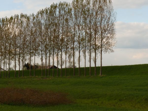 zdjecie Szymanowice Duże