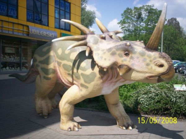 Takie oto zwierzątka przechadzają się główną ulicą miasta.