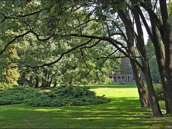 Park wokół pałacu Lubomirskich w Przeworsku.