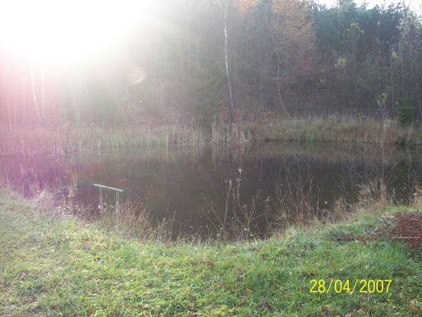 zdjecie Kamienica Królewska