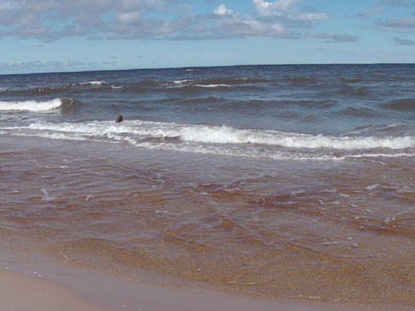 zdjecie Ustronie Morskie