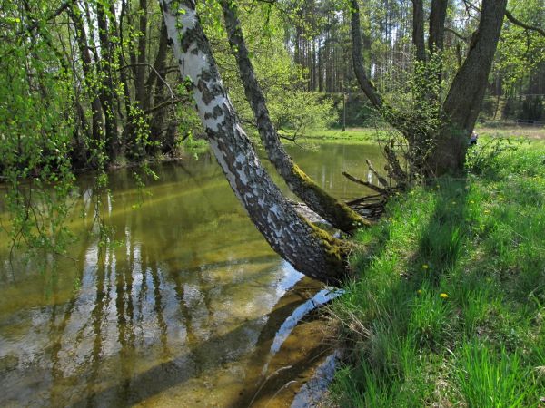 Kanał rzeki Wdy oraz teren nad nim położony