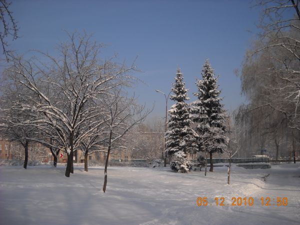 PARK SIELECKI