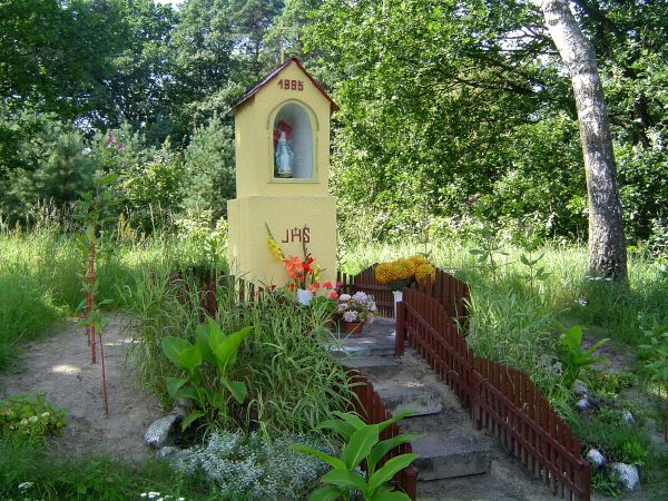 Zdjęcia Tama Brodzka