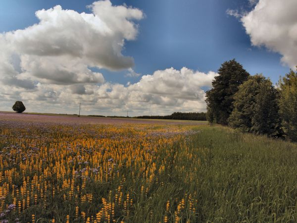 zdjecie Tyniewicze Duże