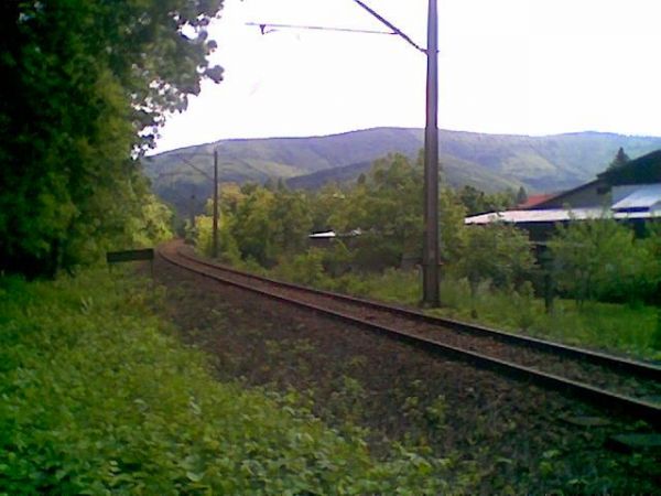 Widok na Cantorie maj 2009