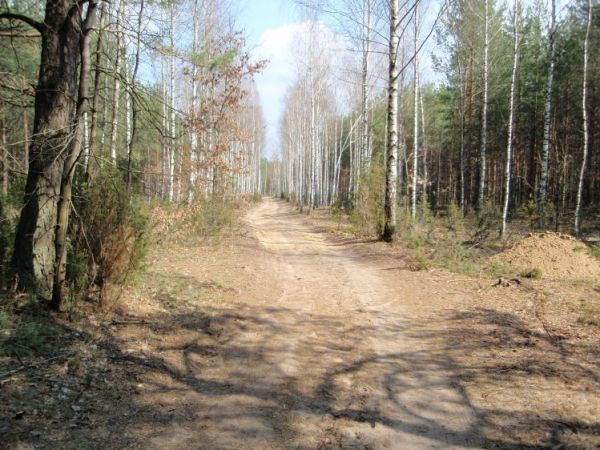 Zdjęcia Waliły-Stacja