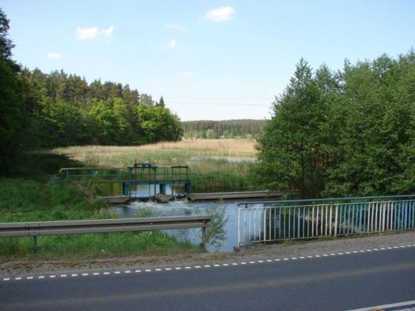 Zapora na strudze od j. Bachotek do Drwęcy