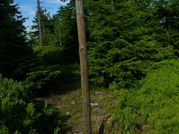 tablica informująca o  OSTOJA ZWIERZĄT