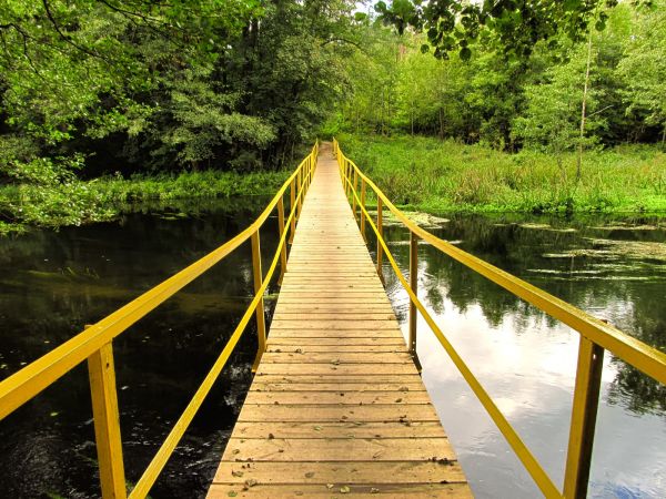 Kładka piesza przez rzekę Wdę