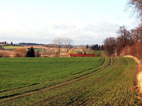 Litewki - lewa strona od drogi Dzierzgoń-Malbork.