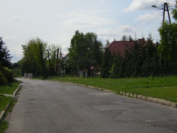 zdjecie Sulechów