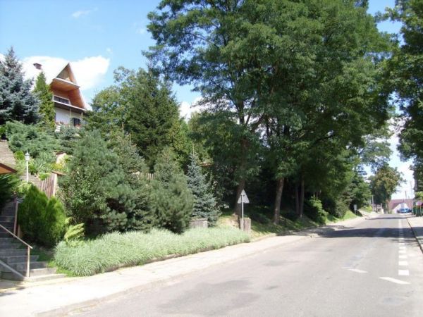 Główna ulica Jodłowej