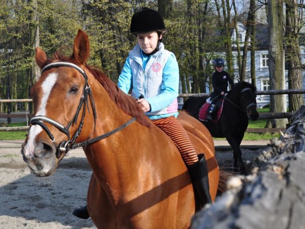 zdjecie Wodzisław Śląski