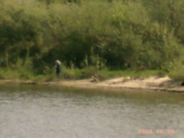 zdjecie Stare Kaliszany