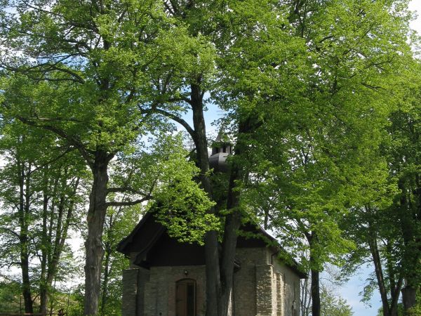 cerkiew grecko-katolicka pw. św. Bazylego Wielkiego, parafialna - po gruntownym remoncie - więcej w galerii / na tablicy - zapraszam.