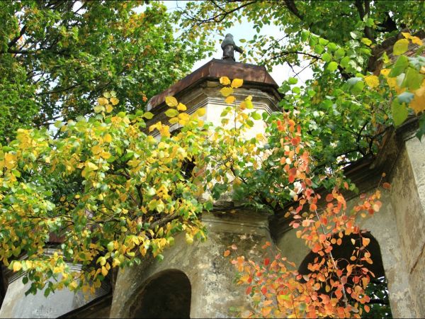 Zrujnowana , murowana cerkiew greckokatolicka , wybudowana w 1904 r. w stylu nowobizantyjskim w Starym Dzikowie. W 2007 r. w jej plenerach kręcono film A. Wajdy