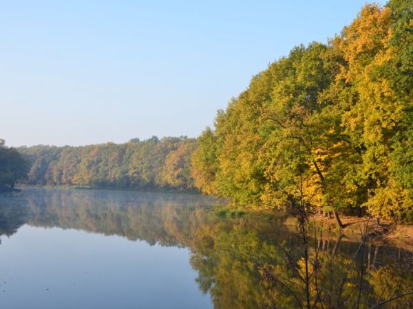 Widok na stare koryto Odry z mostu w Przyborowie