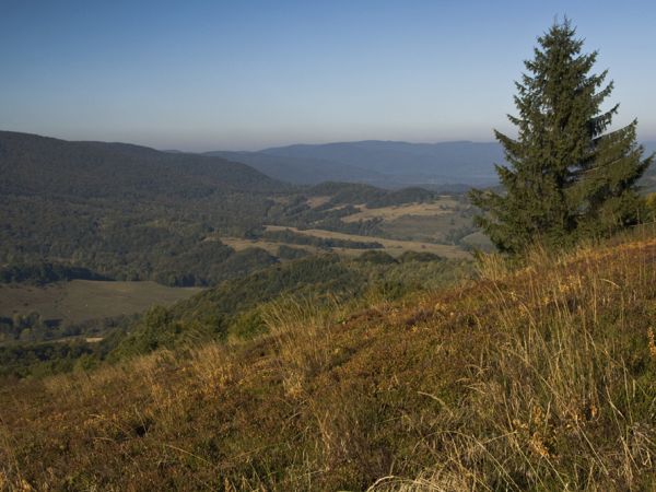 Na Połoninie Caryńskiej