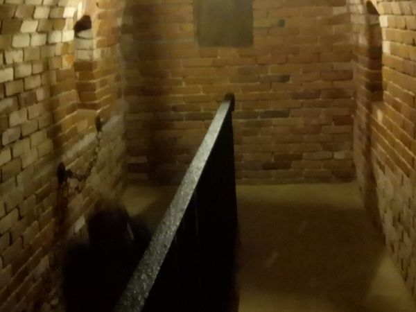 Podziemia Opatowskie