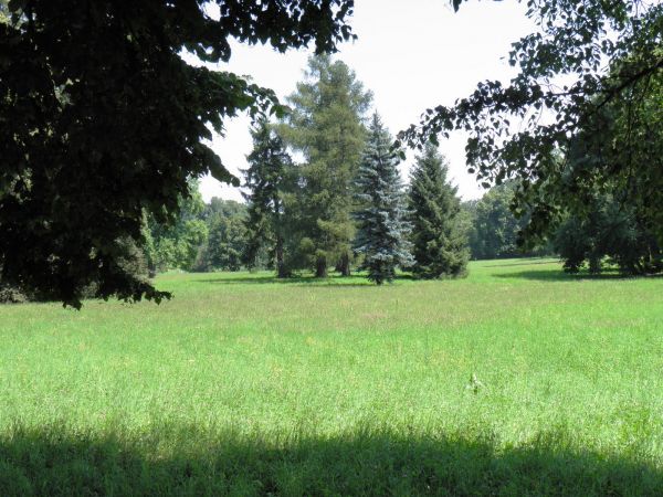 Zamek - Muzeum w Łańcucie. Park - fragment