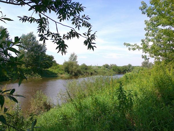 Okolice Brzostkowa .Tu Nida kończy wędrówkę po Niecce Niedziańskiej. Piękno tych ziem sławili licealiści z elitarnego  LO im.T Kościuszki w Busku Zdroju , tworz