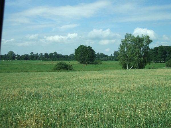 Piękne widoki okolic