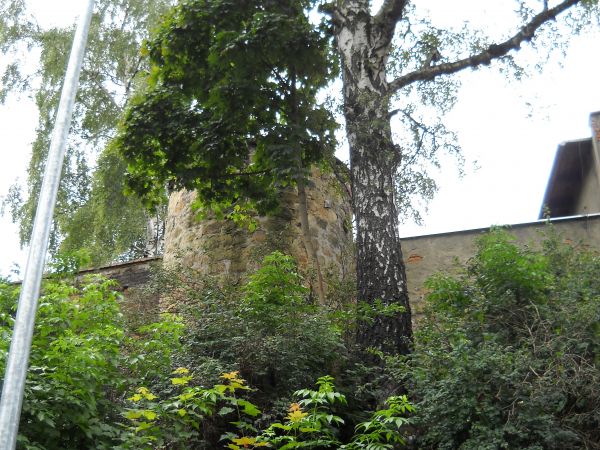 Mury obronne
Pozostałości murów obronnych – wpisane do rejestru zabytków decyzją nr 1221/189/L z dnia 17.12.1965 r. – powstały w pierwszej połowie XIV w., gdy