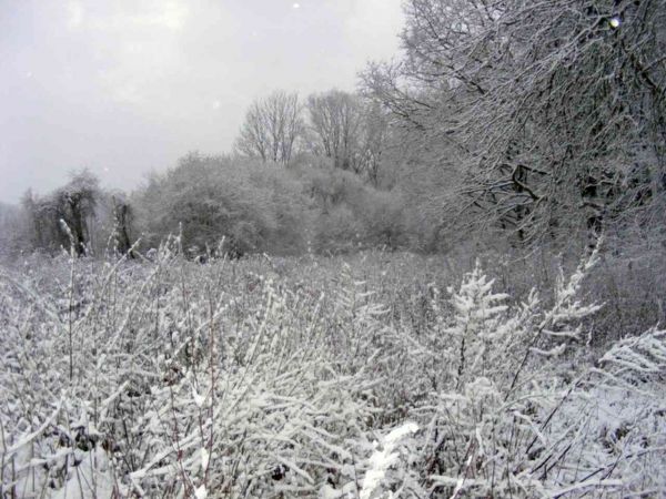 zdjecie Będzieszewo