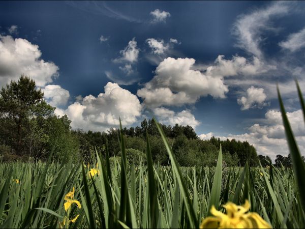 zdjecie Tyniewicze Duże