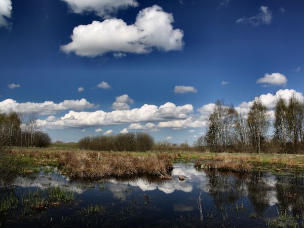 zdjecie Tyniewicze Duże