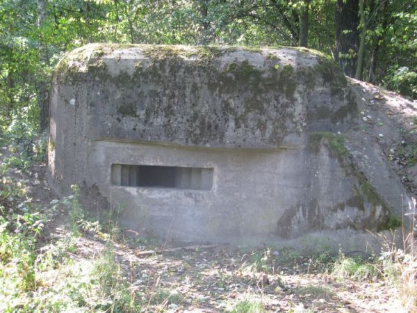 Schron nr 4 Armii "Pomorze". Tradytor jednostronny - bez przelotni. Położony przy dukcie na skraju lasu od miejscowości Zielonczyn, do Kruszyna.
