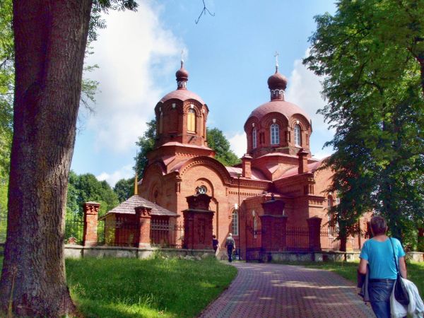 zdjecie Białowieża