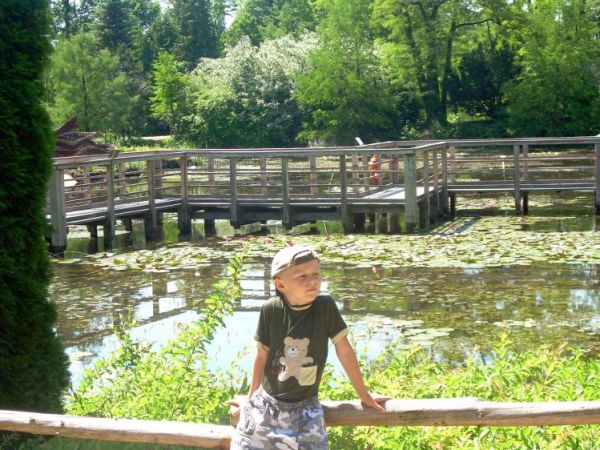 Arboretum w Bolestraszycach