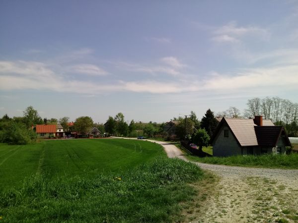 Widok Zamościa z wału wiślanego.