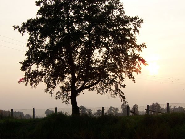 zdjecie Ługi-Radły