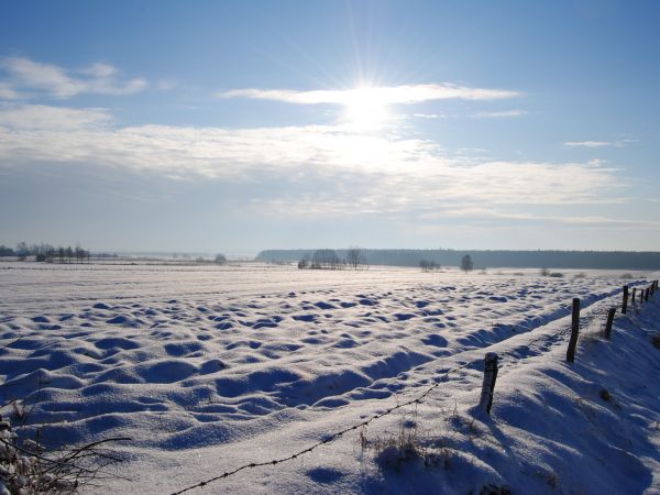 Miekisz stary/krajobraz