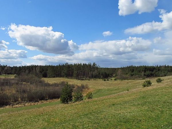 Łąki, pola i lasy w Lubikach