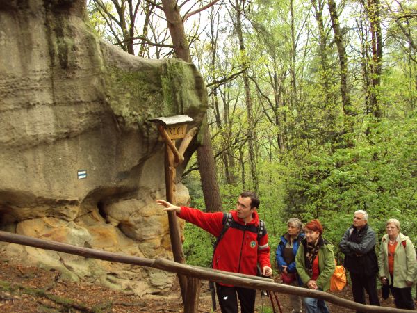 przy formacjach skalnych: Rezerwatu przyrody nieożywionej "Skamieniałe Miasto" - podpowiem : gdyby ktoś w grupie zamierzał tam zwiedzanie to proszę dołożyć star