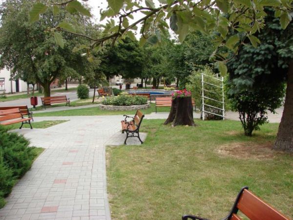 Fragment parku w centrum miasta.