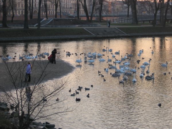 Wyspa Słodowa