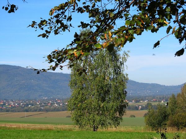 zdjecie Pietrzykowice