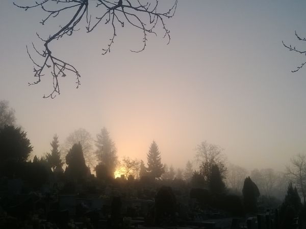 Cmentarz o wschodzie słońca.