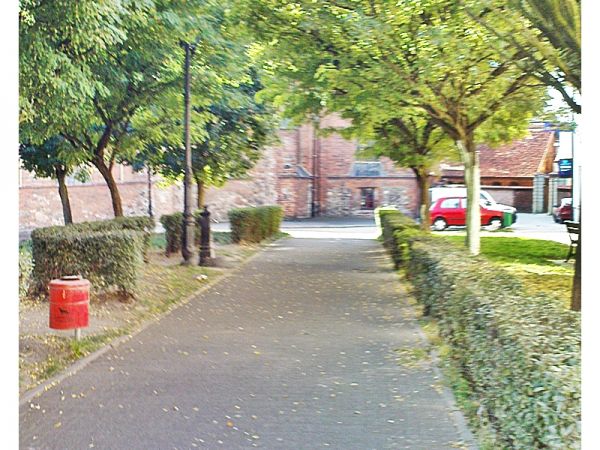 zdjecie Sulechów