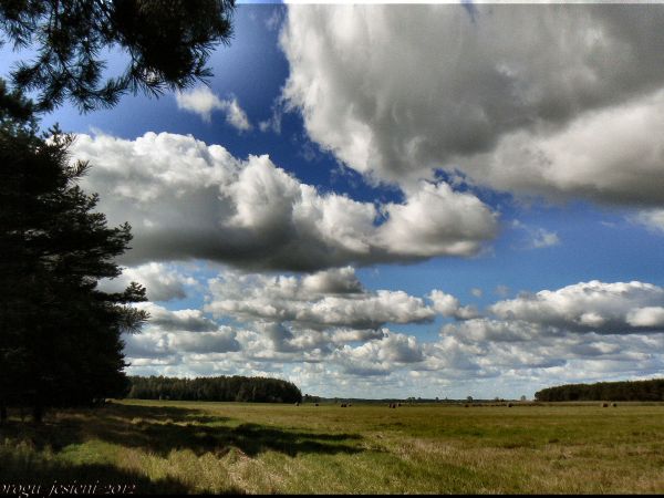 zdjecie Tyniewicze Duże