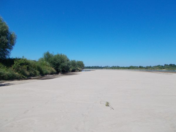 "Morza (Wisły) szum ptaków śpiew , złota plaża -pośród drzew. Wszystko to ,w letnie dni -przypomina Ciebie mi"- śpiewali polscy Beatlesi -Czerwone Gitary .  A m