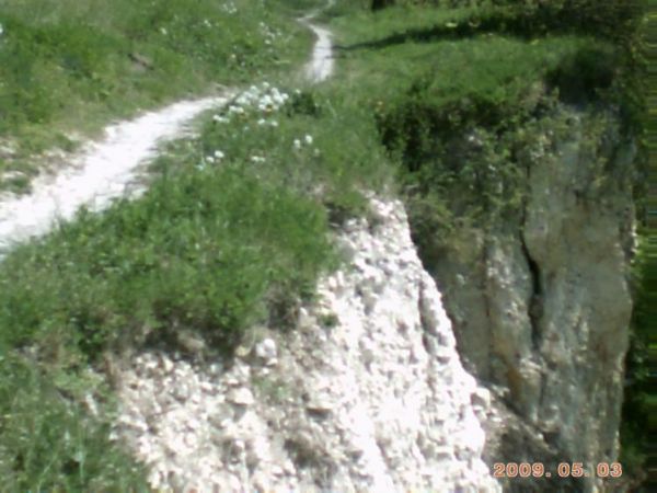 zdjecie Stare Kaliszany