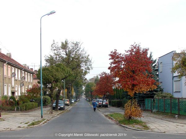 Żary ul. Baczyńskiego