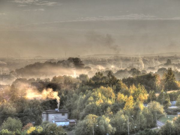 zdjecie Wodzisław Śląski